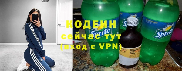 ПСИЛОЦИБИНОВЫЕ ГРИБЫ Гусь-Хрустальный