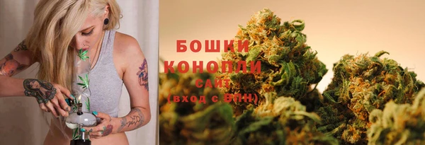 ПСИЛОЦИБИНОВЫЕ ГРИБЫ Гусь-Хрустальный