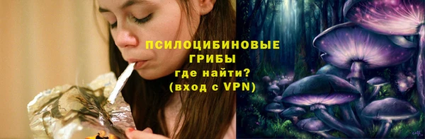 ПСИЛОЦИБИНОВЫЕ ГРИБЫ Гусь-Хрустальный