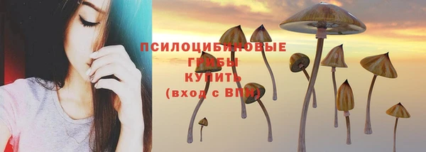 СК Гусиноозёрск