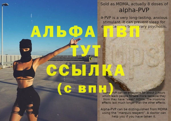 шишки Апатиты