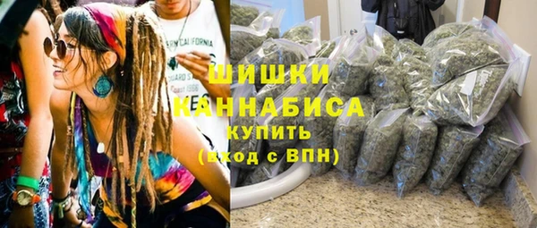 ПСИЛОЦИБИНОВЫЕ ГРИБЫ Дмитриев