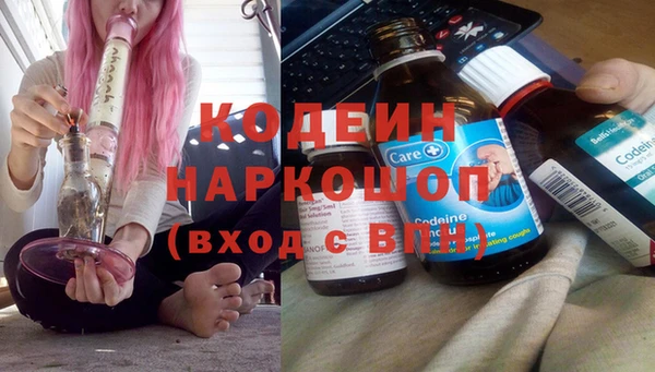 ПСИЛОЦИБИНОВЫЕ ГРИБЫ Гусь-Хрустальный