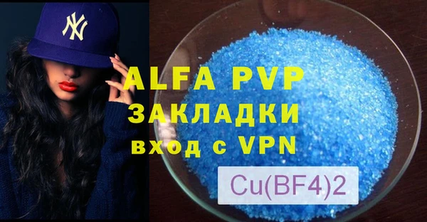 ПСИЛОЦИБИНОВЫЕ ГРИБЫ Дмитриев