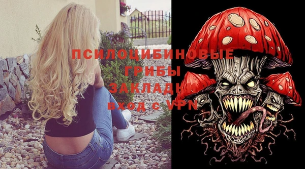 ПСИЛОЦИБИНОВЫЕ ГРИБЫ Гусь-Хрустальный