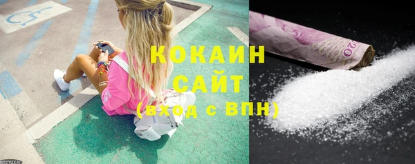 ПСИЛОЦИБИНОВЫЕ ГРИБЫ Гусь-Хрустальный