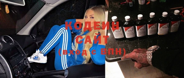 ПСИЛОЦИБИНОВЫЕ ГРИБЫ Дмитриев