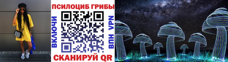 Галлюциногенные грибы мицелий  купить  сайты  Карабаново 